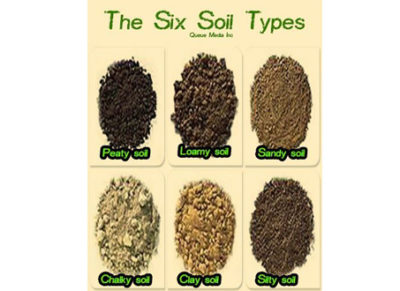 Top Tips For Great Topsoil - Garden Topsoil Direct